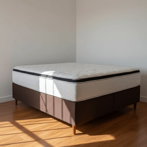 Inicio -5- Inicio -5-